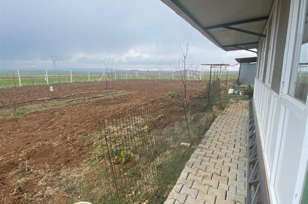 Century21 Plus'dan İscehisar/Çalışlar Köyünde Satılık Tarla