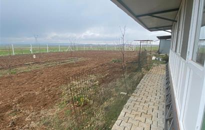 Century21 Plus'dan İscehisar/Çalışlar Köyünde Satılık Tarla