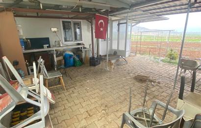 Century21 Plus'dan İscehisar/Çalışlar Köyünde Satılık Tarla