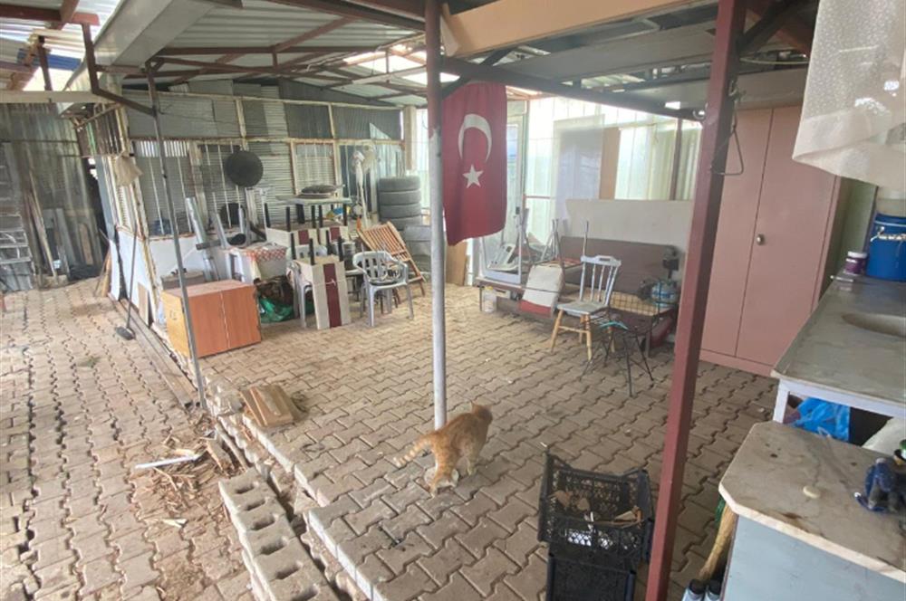 Century21 Plus'dan İscehisar/Çalışlar Köyünde Satılık Tarla