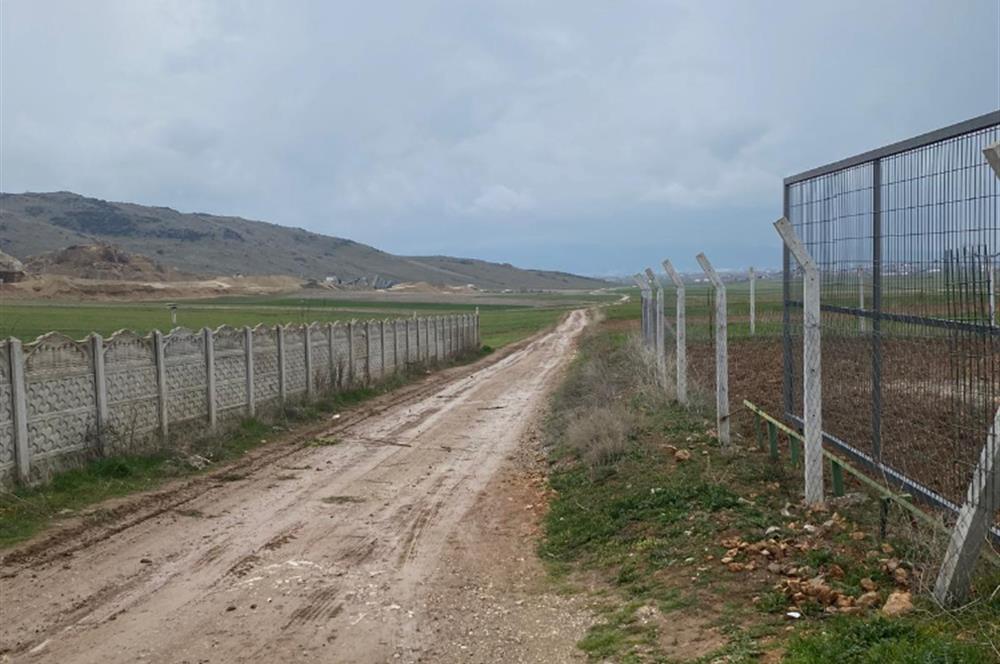 Century21 Plus'dan İscehisar/Çalışlar Köyünde Satılık Tarla