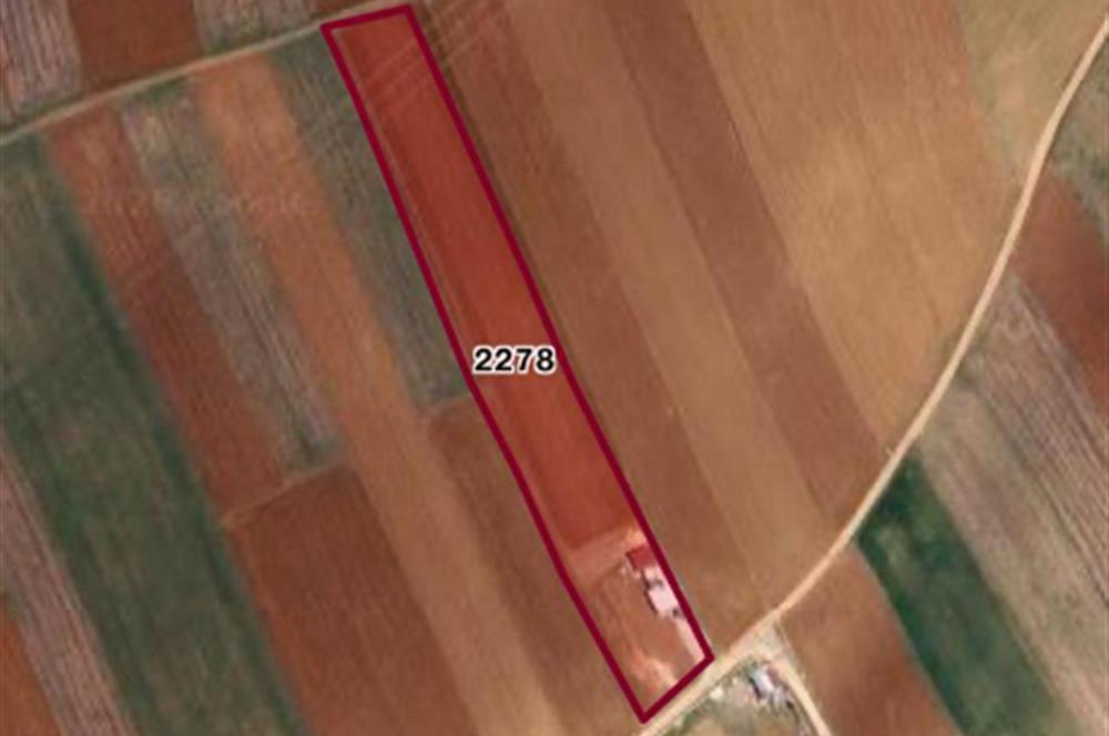 Century21 Plus'dan İscehisar/Çalışlar Köyünde Satılık Tarla