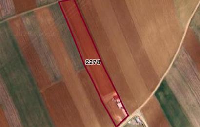 Century21 Plus'dan İscehisar/Çalışlar Köyünde Satılık Tarla