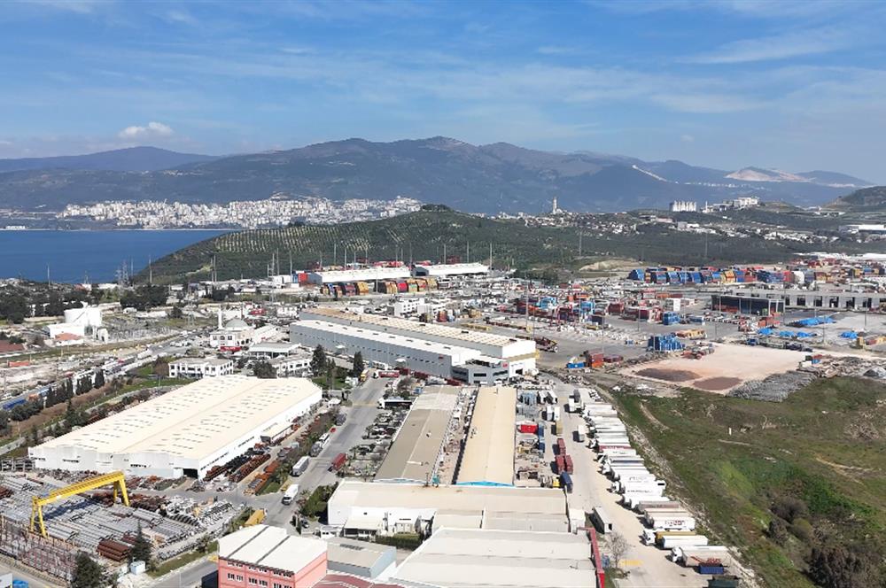 C21 Cius; Serbest bölgede 5568 m2 Satılık Zeytinlik