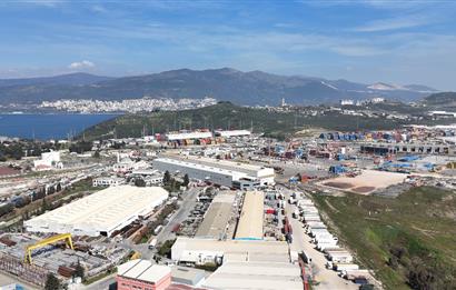 C21 Cius; Serbest bölgede 5568 m2 Satılık Zeytinlik