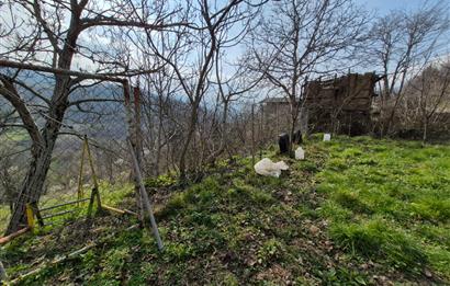 C21 Cius; Fevziye’de Köy İçi İmarlı Çift Cephe 655 m² Satılık Arsa