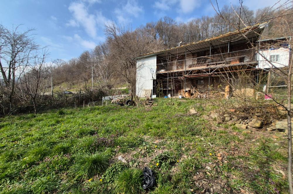 C21 Cius; Fevziye’de Köy İçi İmarlı Çift Cephe 655 m² Satılık Arsa