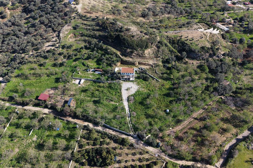 Datça'da 12.5 Dönümlük Çiftlik | Emsalsiz Ekosistem