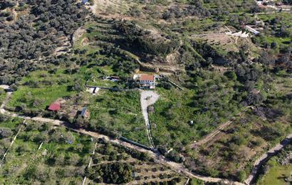 Datça'da 12.5 Dönümlük Çiftlik | Emsalsiz Ekosistem