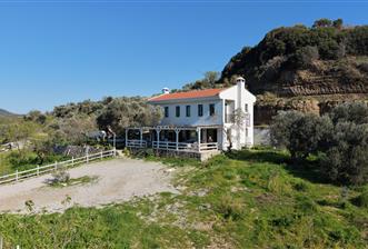 Datça'da 12.5 Dönümlük Çiftlik | Emsalsiz Ekosistem - 2 - 32898