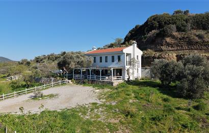 Datça'da 12.5 Dönümlük Çiftlik | Emsalsiz Ekosistem