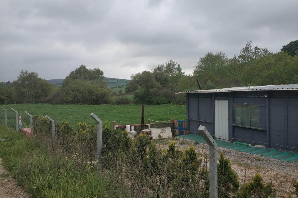 C21 BAL'DAN TOKİ 2.ETAP H BLOK EŞYALI 1+1 KİRALIK DAİRE