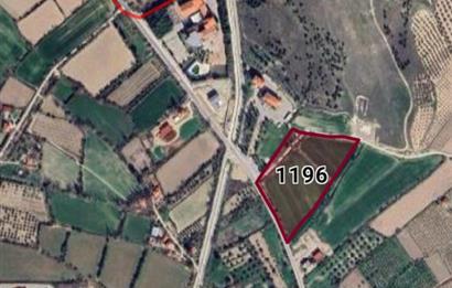 DENİZLİ PAMUKKALEDE YOLA CEPHE TARLA