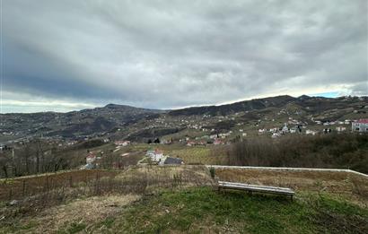 C21 UZMAN'DAN YEŞİLHİSAR'DA SATILIK EV VE ARSA FIRSATI