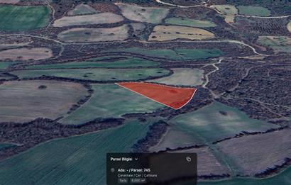 C21 Cius; Çanakkale Çan Çaltıkara Satılık 6.000m2 Tarla