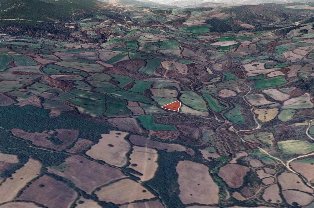 C21 Cius; Çanakkale Çan Çaltıkara Satılık 6.000m2 Tarla