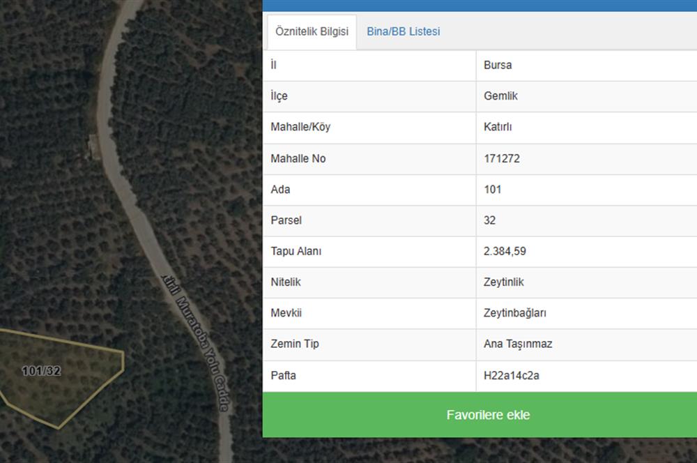 C21 Cius;Katırlı'da Satılık 2384 m² Bakımlı Zeytinlik