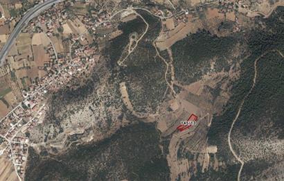 Muğla Yatağan Satılık 3.368 m2 Tarla