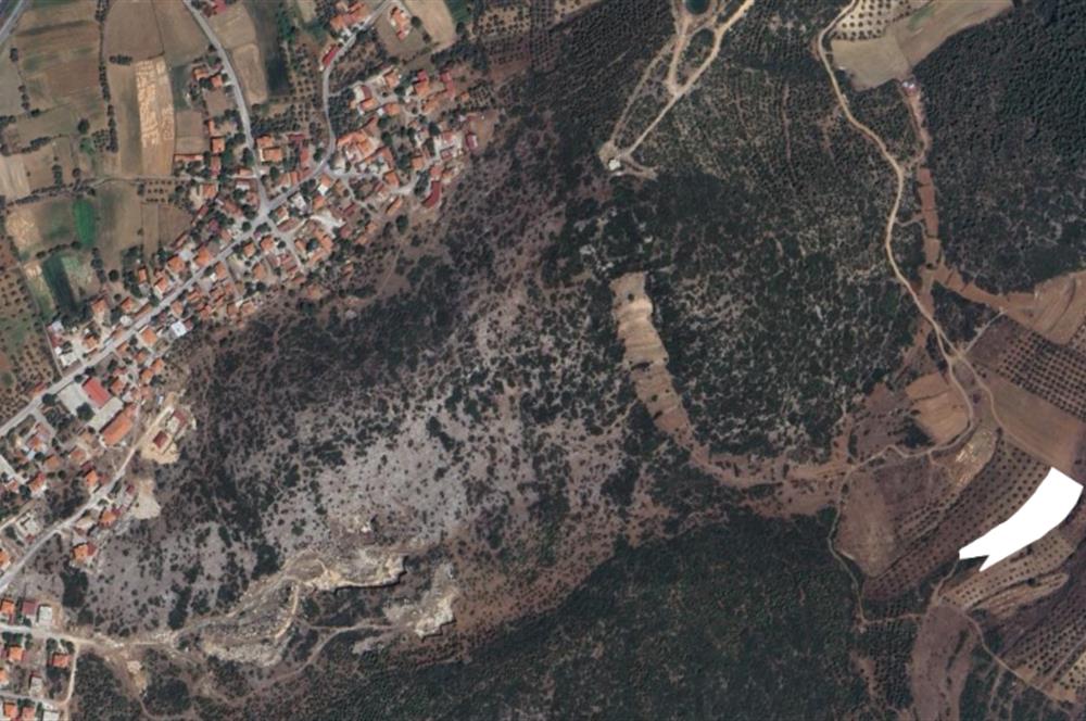 Muğla Yatağan Satılık 3.368 m2 Tarla