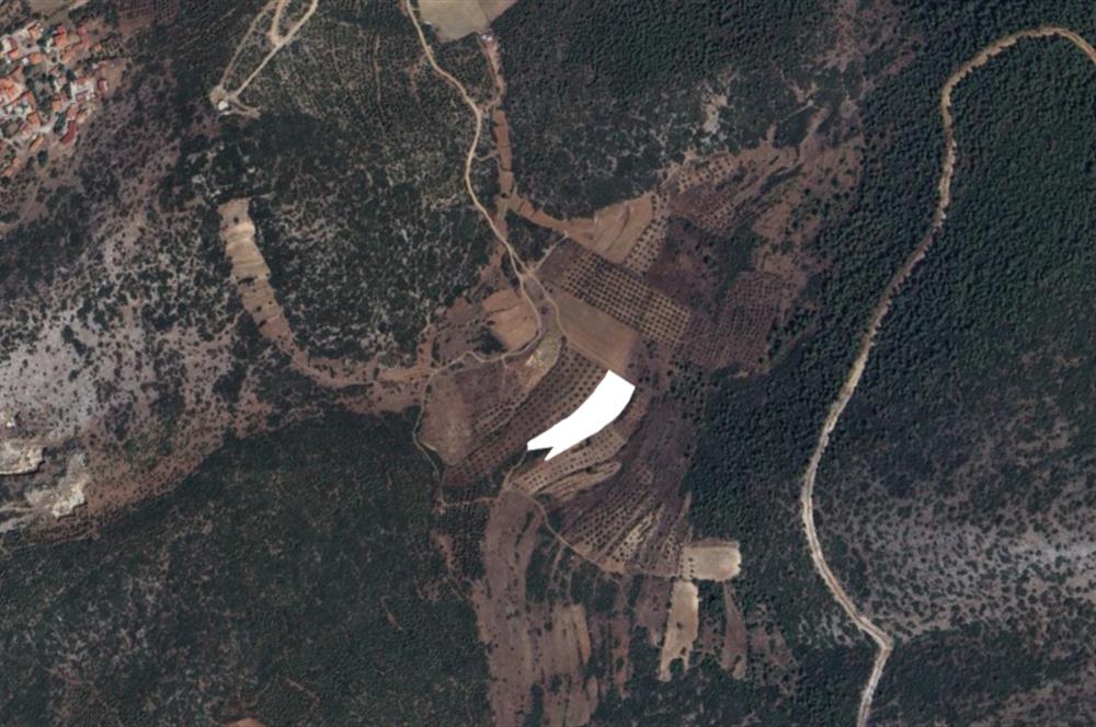 Muğla Yatağan Satılık 3.368 m2 Tarla