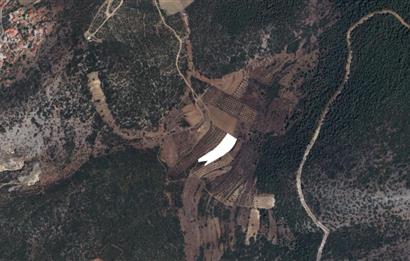 Muğla Yatağan Satılık 3.368 m2 Tarla