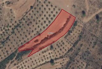 Muğla Yatağan Satılık 3.368 m2 Tarla - 6 - 33045