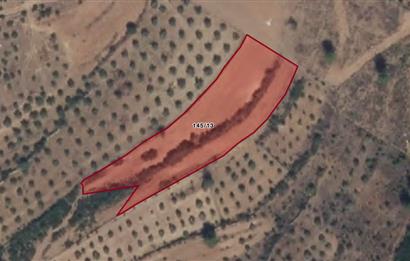 Muğla Yatağan Satılık 3.368 m2 Tarla