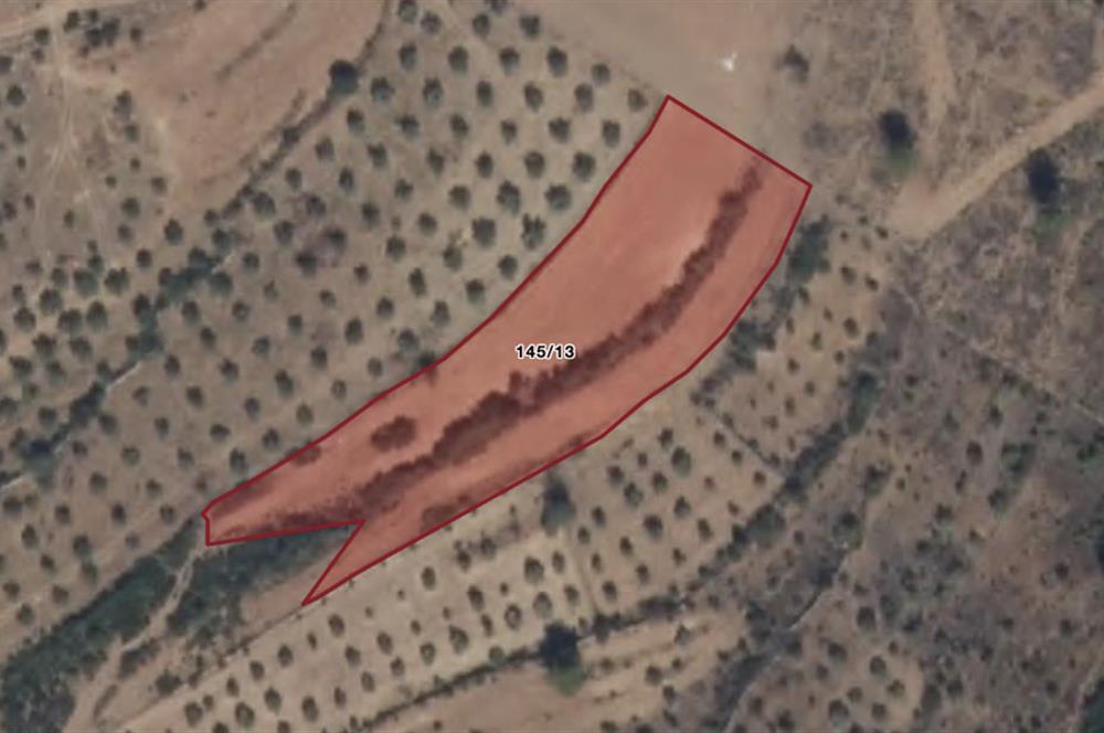 Muğla Yatağan Satılık 3.368 m2 Tarla