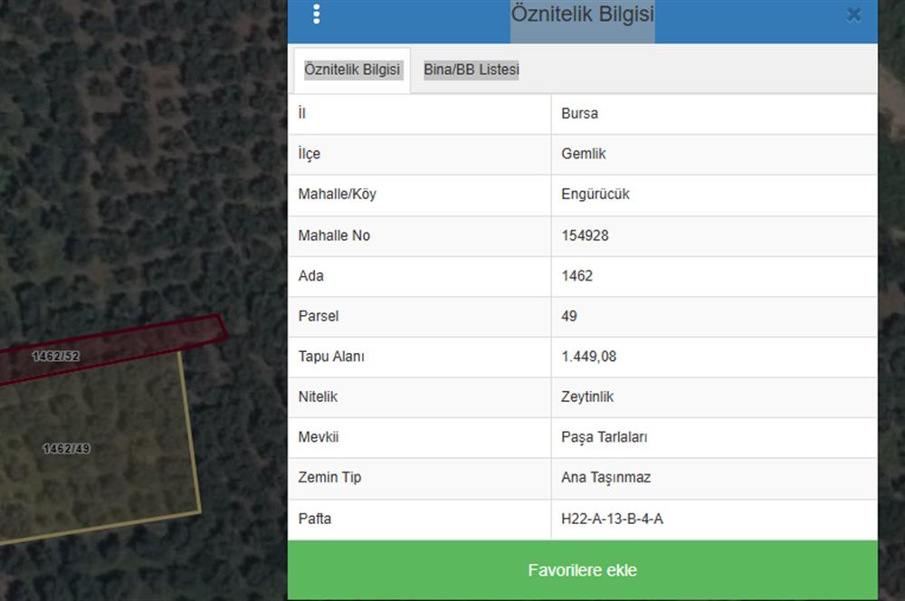 C21 Cius;Engürücük'de Satılık 1813 m² Bakımlı Zeytinlik