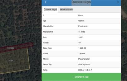 C21 Cius;Engürücük'de Satılık 1813 m² Bakımlı Zeytinlik