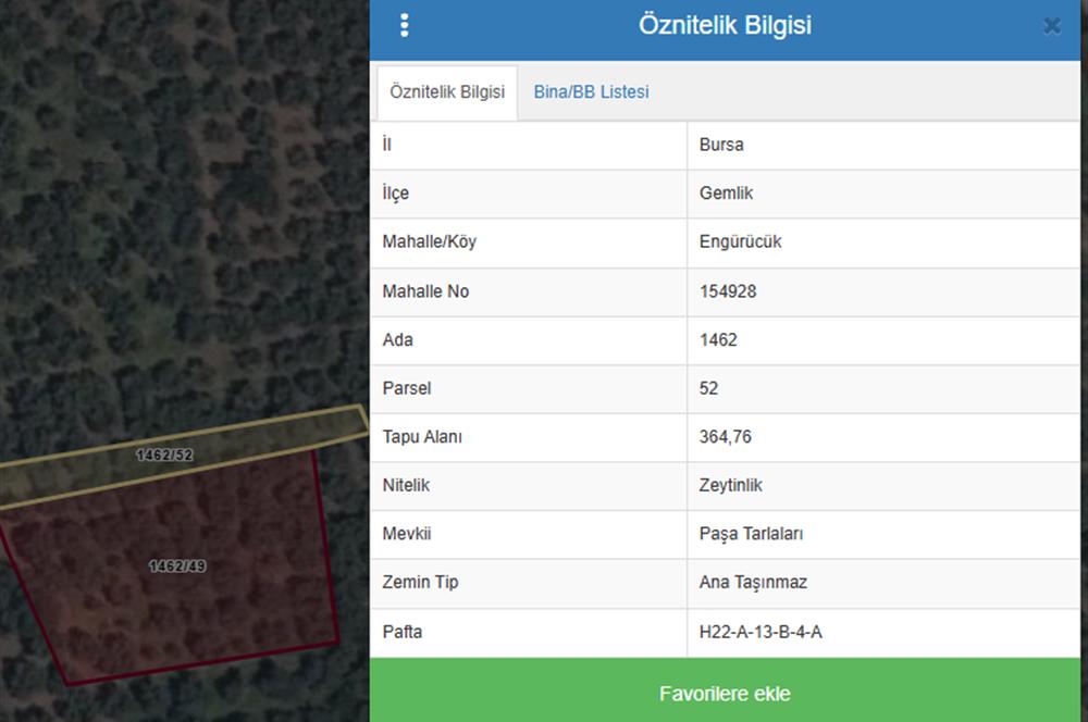 C21 Cius;Engürücük'de Satılık 1813 m² Bakımlı Zeytinlik