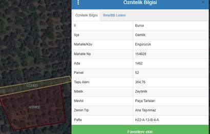 C21 Cius;Engürücük'de Satılık 1813 m² Bakımlı Zeytinlik