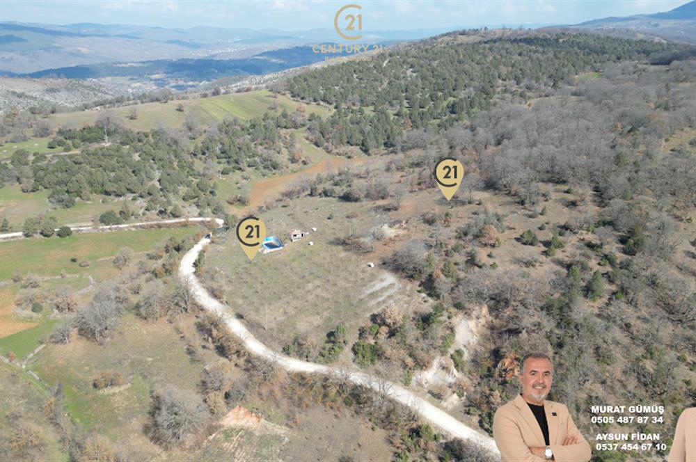 C21 BAL'DAN DURSUNBEY/KARAPINAR MAHALLESİ SATILIK CEVİZLİK