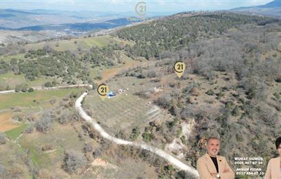 C21 BAL'DAN DURSUNBEY/KARAPINAR MAHALLESİ SATILIK CEVİZLİK