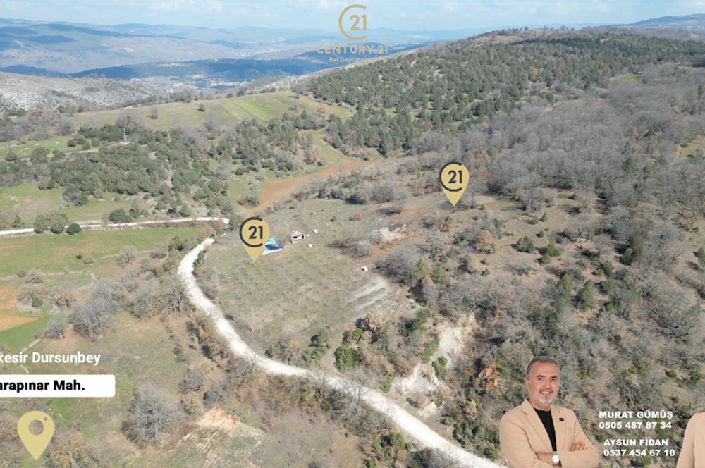 C21 BAL'DAN DURSUNBEY/KARAPINAR MAHALLESİ SATILIK CEVİZLİK