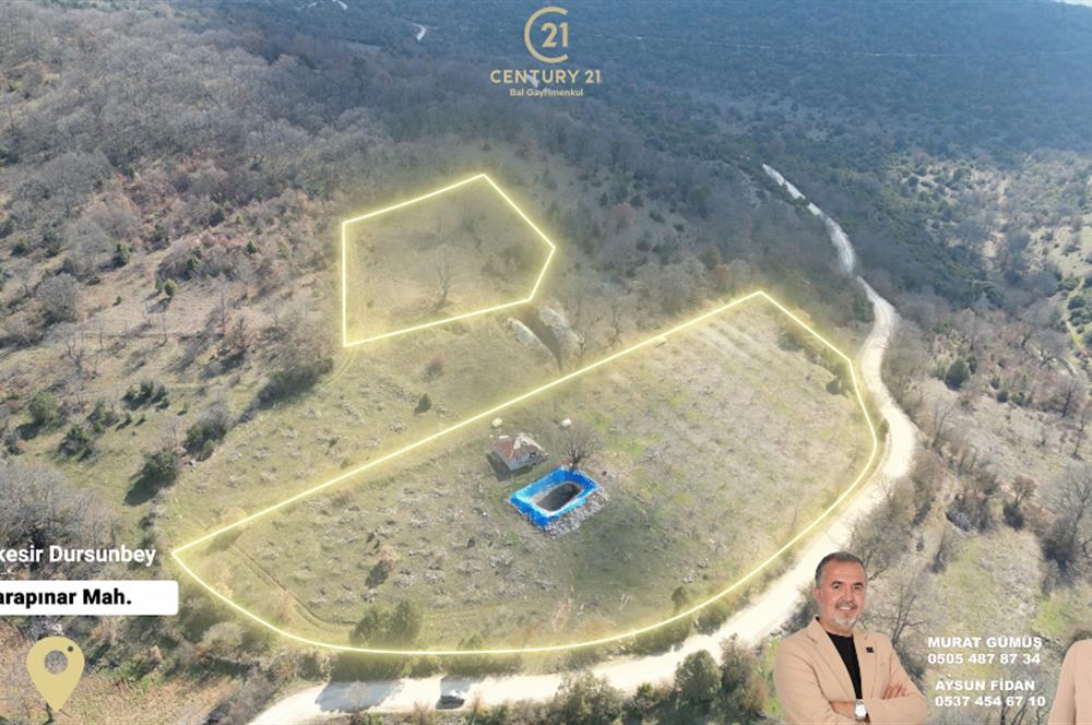 C21 BAL'DAN DURSUNBEY/KARAPINAR MAHALLESİ SATILIK CEVİZLİK