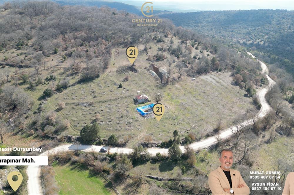 C21 BAL'DAN DURSUNBEY/KARAPINAR MAHALLESİ SATILIK CEVİZLİK