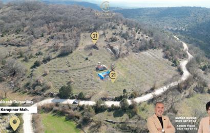 C21 BAL'DAN DURSUNBEY/KARAPINAR MAHALLESİ SATILIK CEVİZLİK