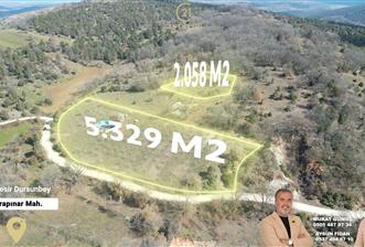 C21 BAL'DAN DURSUNBEY/KARAPINAR MAHALLESİ SATILIK CEVİZLİK - 2 - 33044