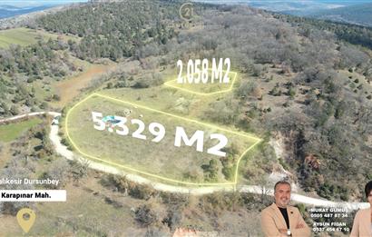 C21 BAL'DAN DURSUNBEY/KARAPINAR MAHALLESİ SATILIK CEVİZLİK