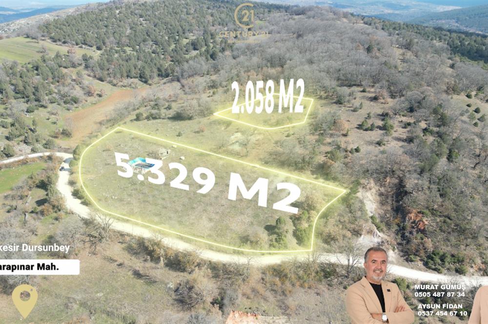 C21 BAL'DAN DURSUNBEY/KARAPINAR MAHALLESİ SATILIK CEVİZLİK