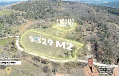 C21 BAL'DAN DURSUNBEY/KARAPINAR MAHALLESİ SATILIK CEVİZLİK