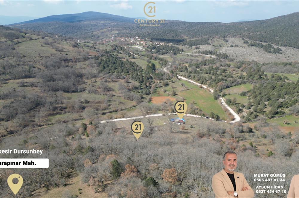 C21 BAL'DAN DURSUNBEY/KARAPINAR MAHALLESİ SATILIK CEVİZLİK