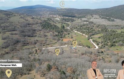 C21 BAL'DAN DURSUNBEY/KARAPINAR MAHALLESİ SATILIK CEVİZLİK