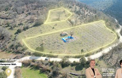 C21 BAL'DAN DURSUNBEY/KARAPINAR MAHALLESİ SATILIK CEVİZLİK