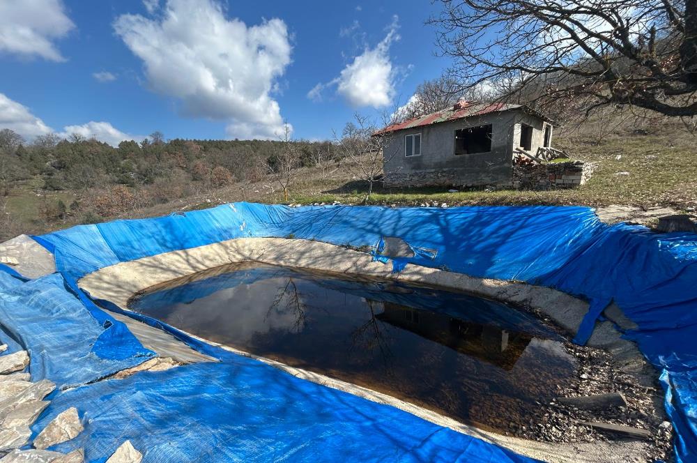 C21 BAL'DAN DURSUNBEY/KARAPINAR MAHALLESİ SATILIK CEVİZLİK