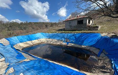 C21 BAL'DAN DURSUNBEY/KARAPINAR MAHALLESİ SATILIK CEVİZLİK