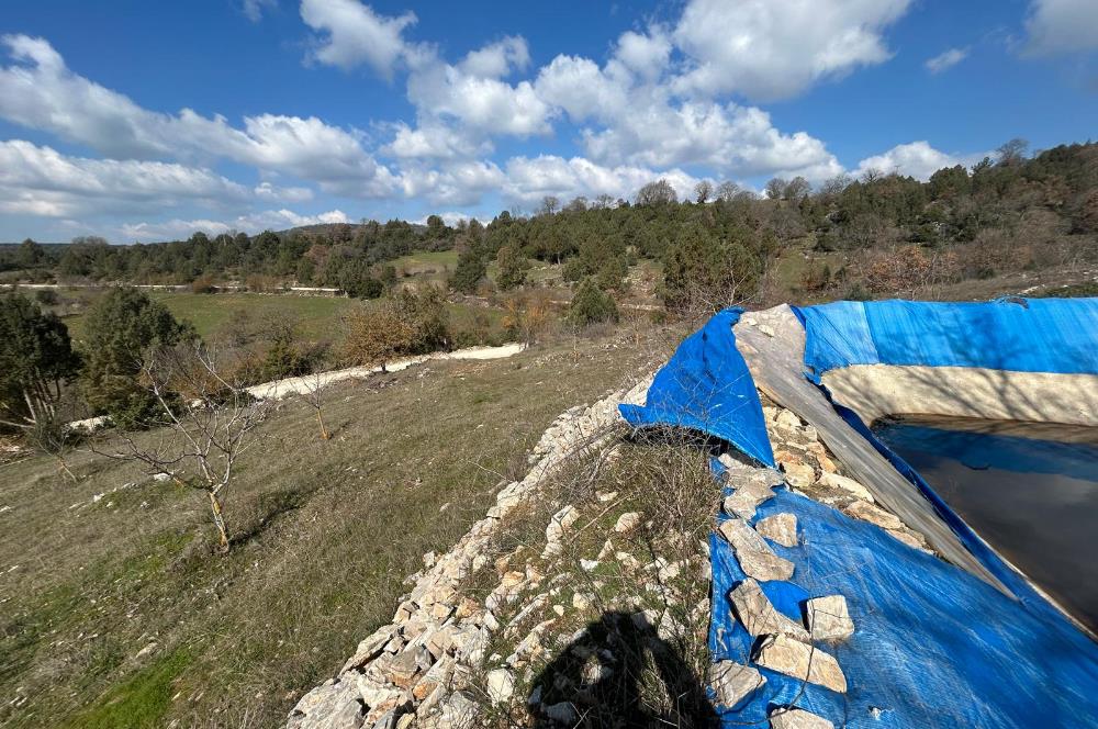 C21 BAL'DAN DURSUNBEY/KARAPINAR MAHALLESİ SATILIK CEVİZLİK