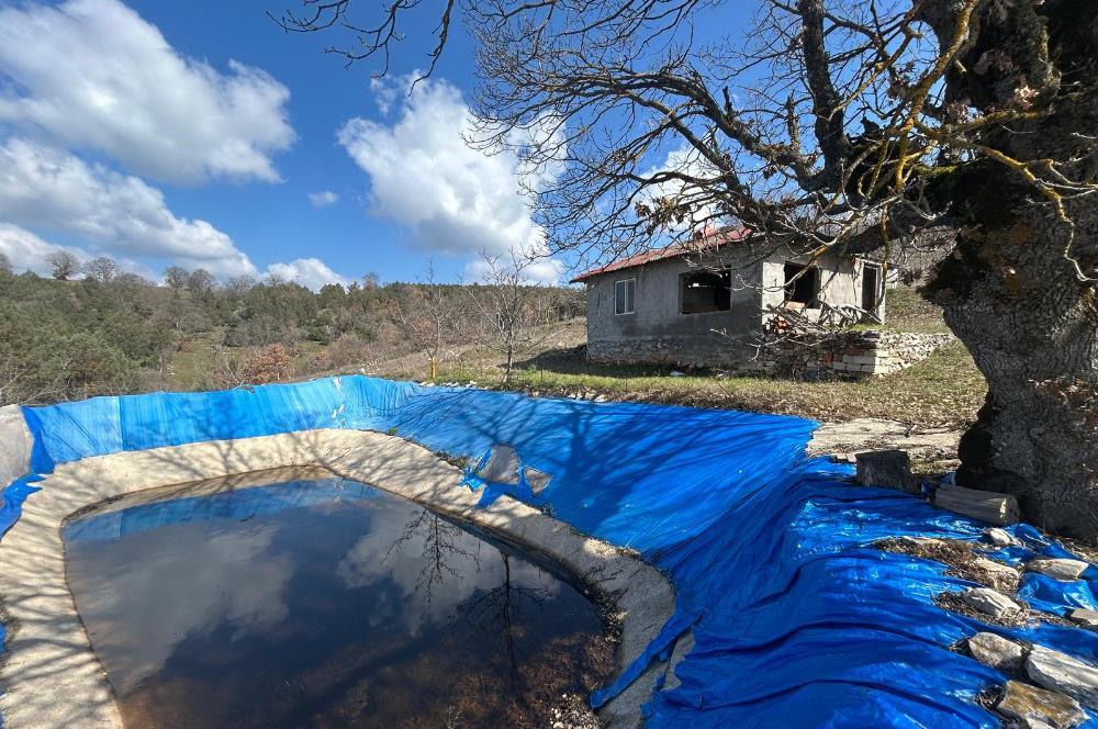 C21 BAL'DAN DURSUNBEY/KARAPINAR MAHALLESİ SATILIK CEVİZLİK