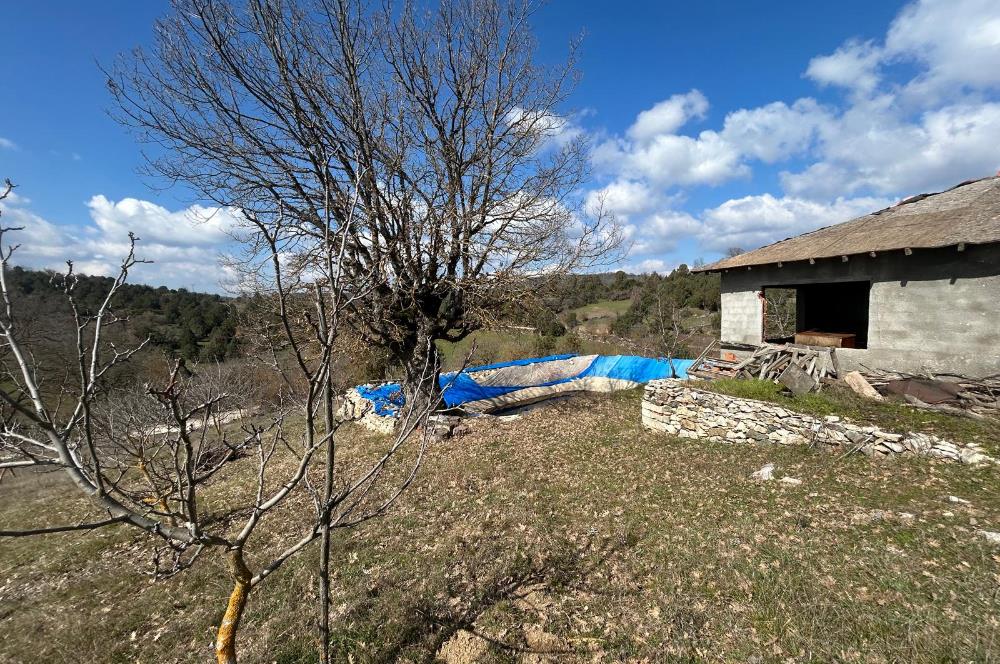 C21 BAL'DAN DURSUNBEY/KARAPINAR MAHALLESİ SATILIK CEVİZLİK